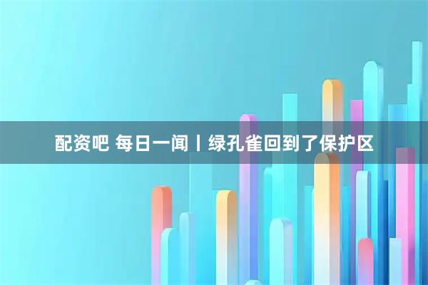 配资吧 每日一闻丨绿孔雀回到了保护区