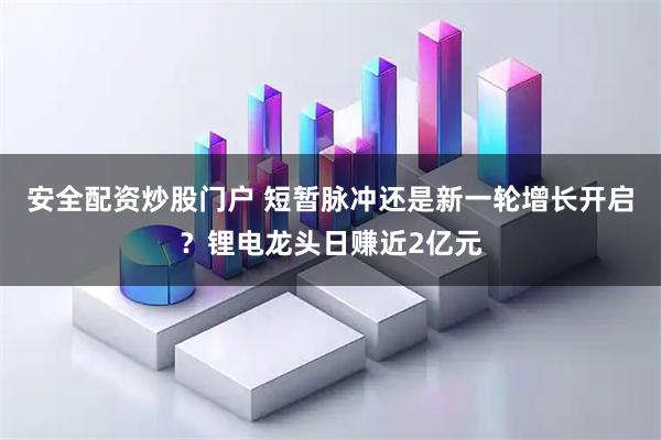 安全配资炒股门户 短暂脉冲还是新一轮增长开启？锂电龙头日赚近2亿元