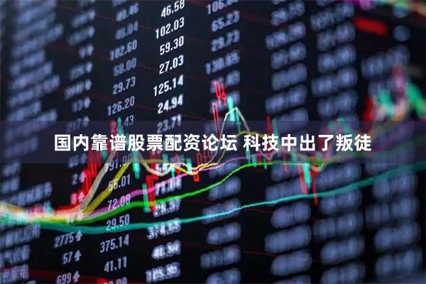 国内靠谱股票配资论坛 科技中出了叛徒